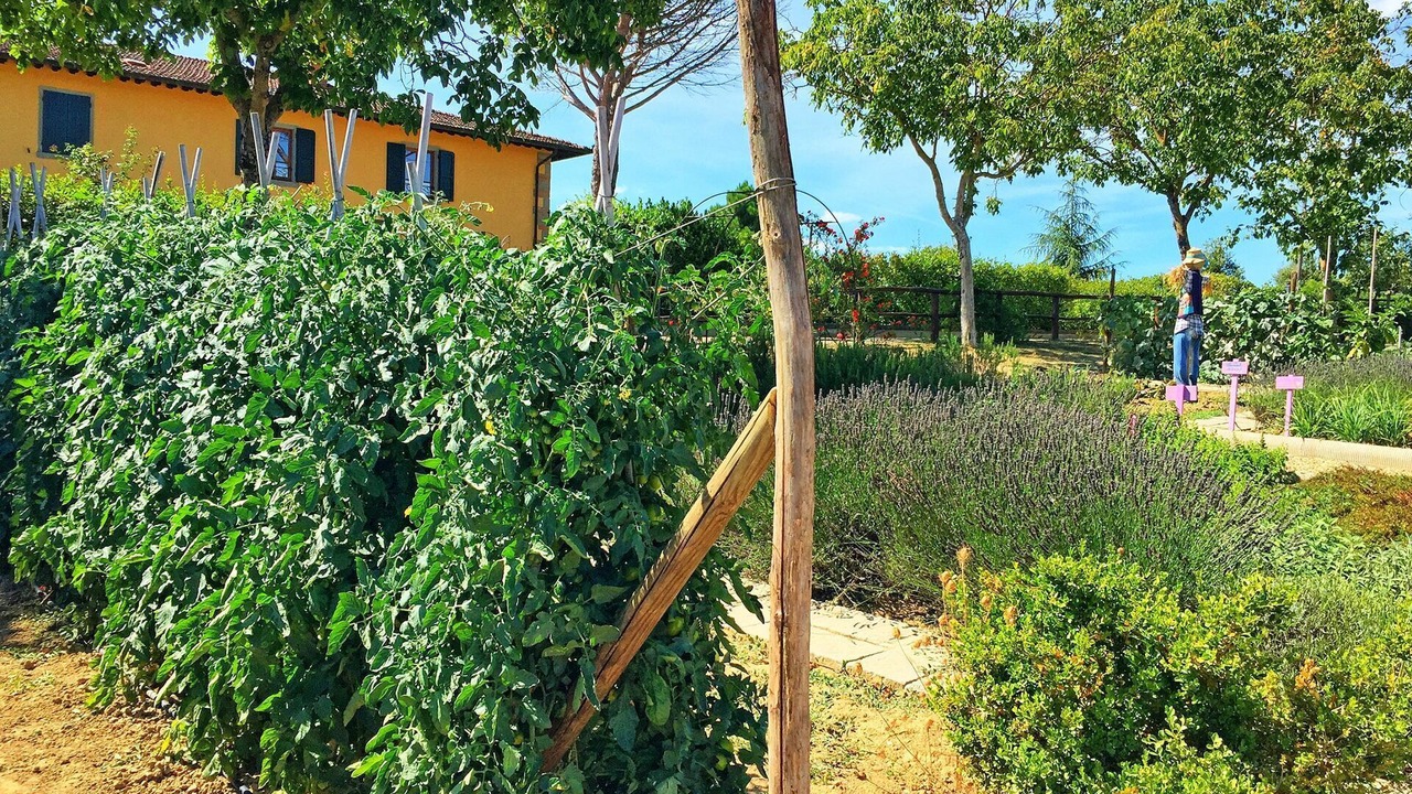 Photo of Outdoor in Porrena