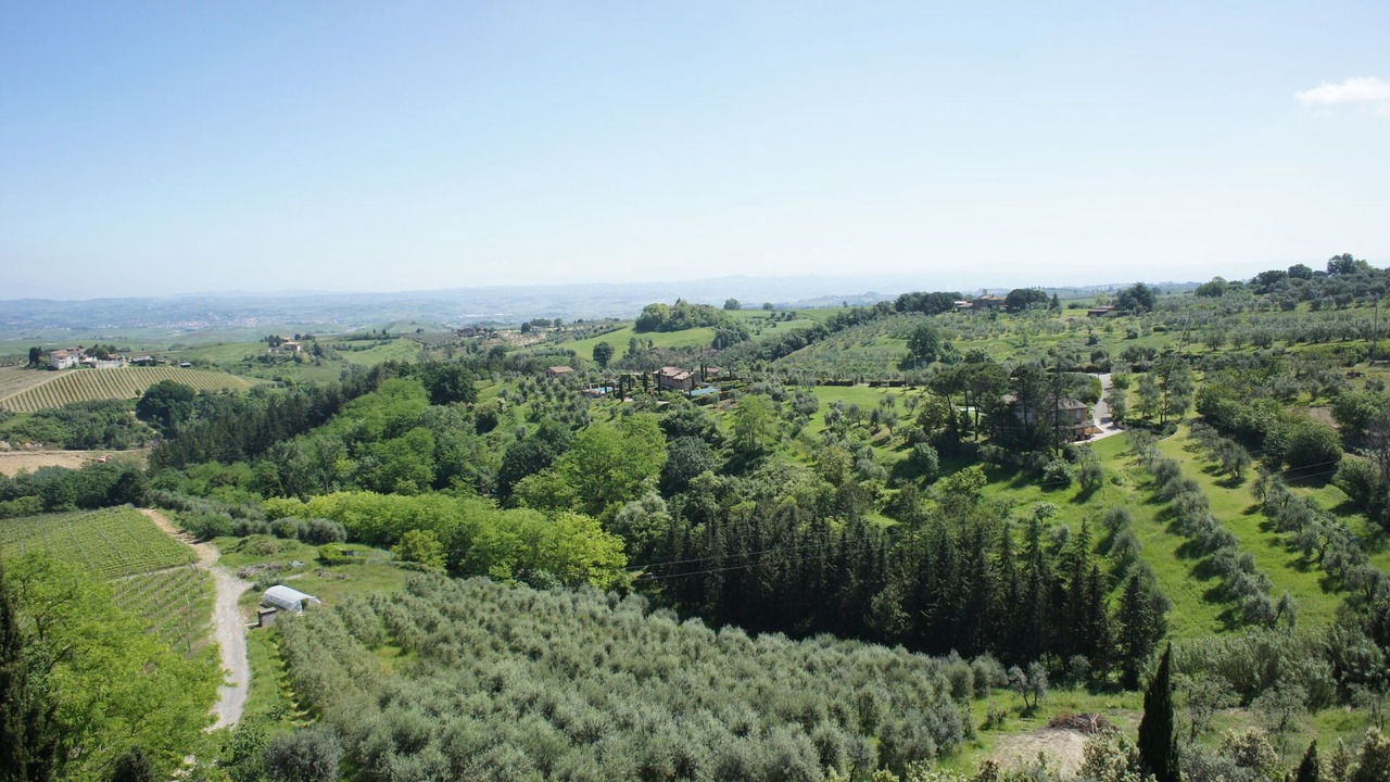 Photo of Others in Montaione