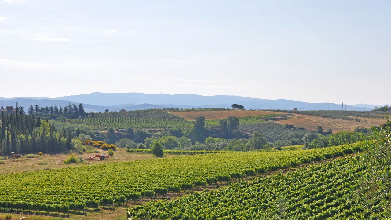 Photo of Others in Tavarnelle Val di Pesa