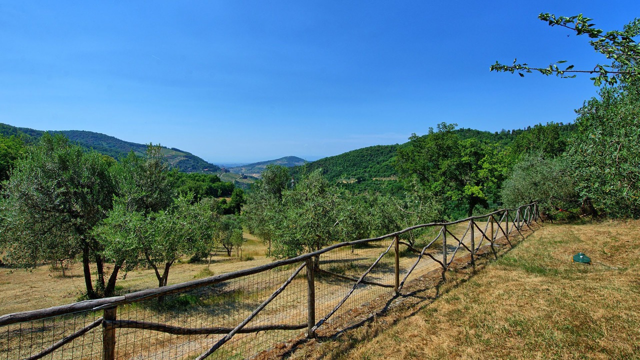 Photo of Outdoor in Greve in Chianti