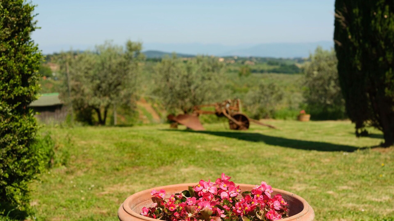 Photo of Outdoor in San Casciano in Val di Pesa