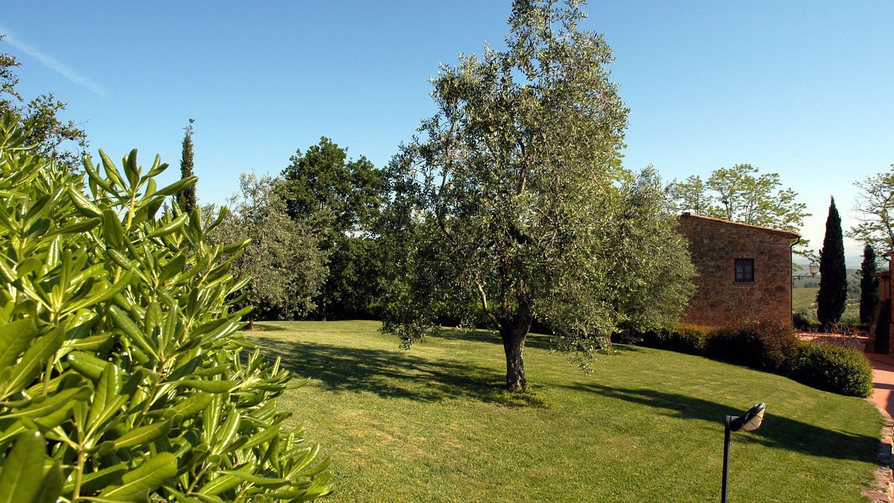 Photo of Outdoor in Montaione