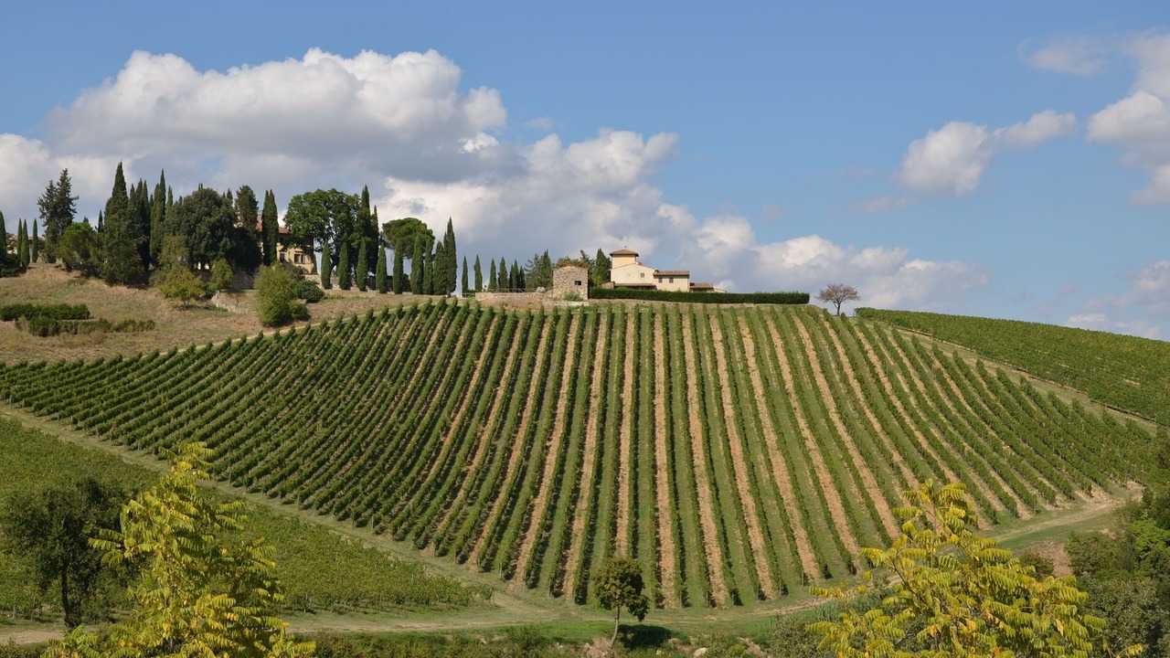 Photo of Others in San Casciano in Val di Pesa