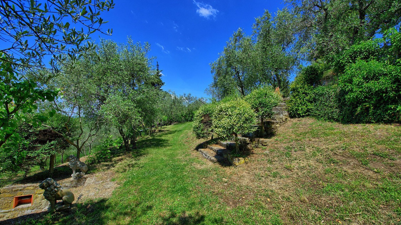 Photo of Outdoor in Greve in Chianti