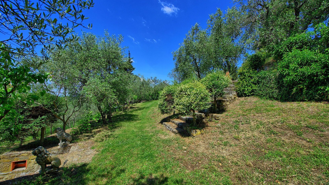 Photo of Outdoor in Greve in Chianti