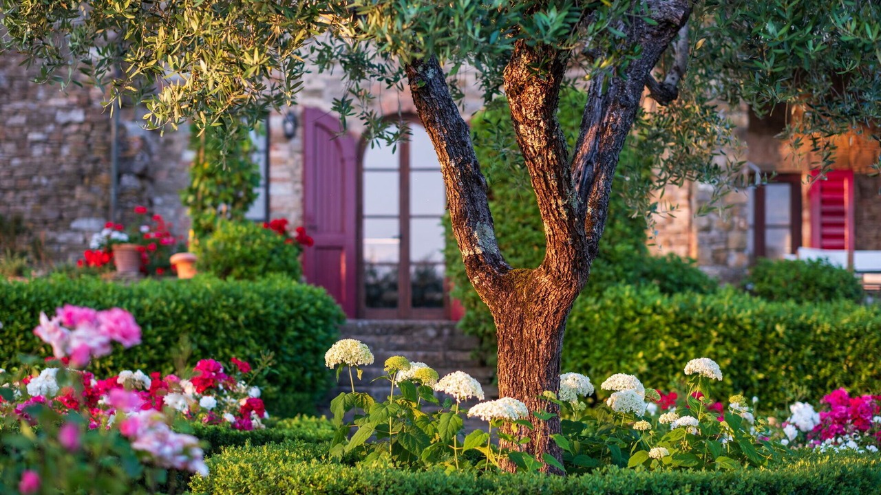 Photo of Outdoor in San Pietro in Bossolo
