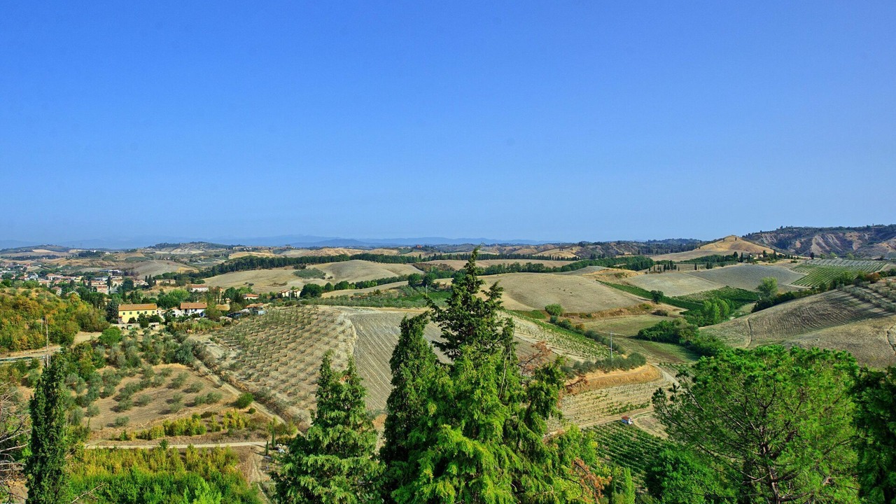 Photo of Others in Certaldo Alto