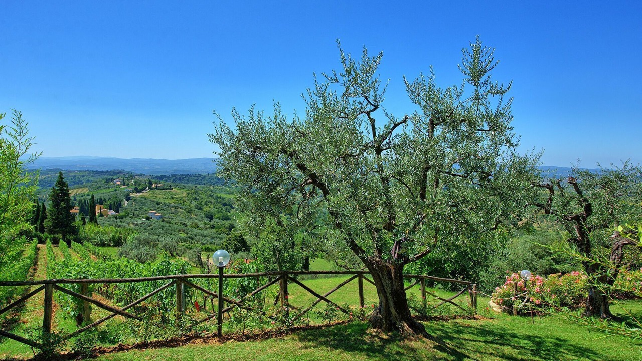 Photo of Others in Magliano