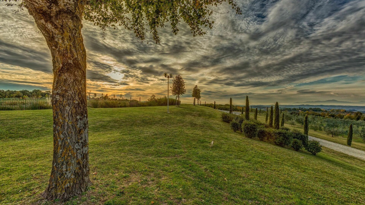 Photo of Outdoor in Montaione