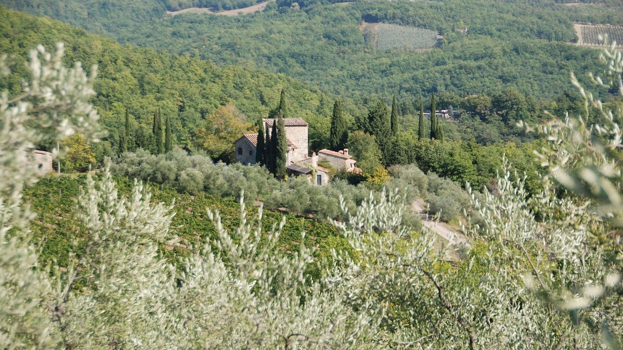 Photo of Others in Radda in Chianti