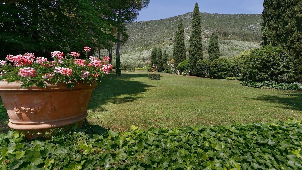 Photo of Outdoor in Vicopelago