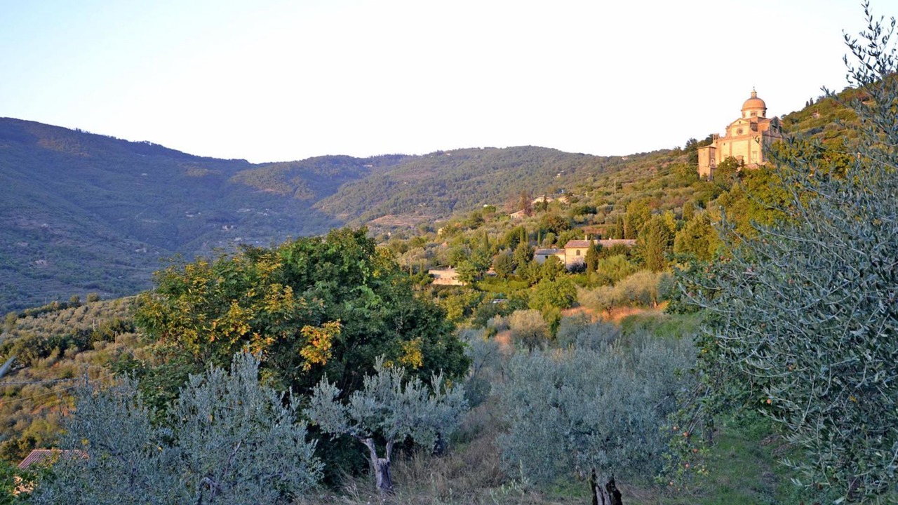 Photo of Others in Cortona