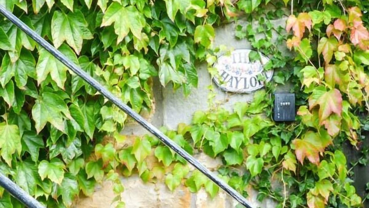 Photo of Outdoor in Lastingham
