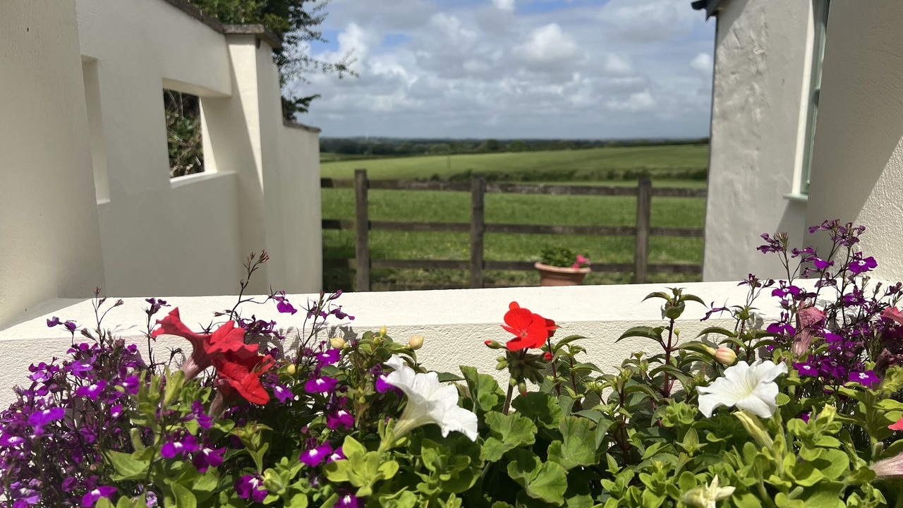 Photo of Outdoor in Brazzacott