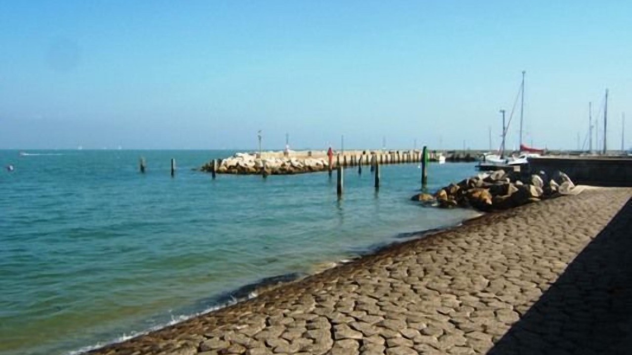 Photo of Others in Ryde