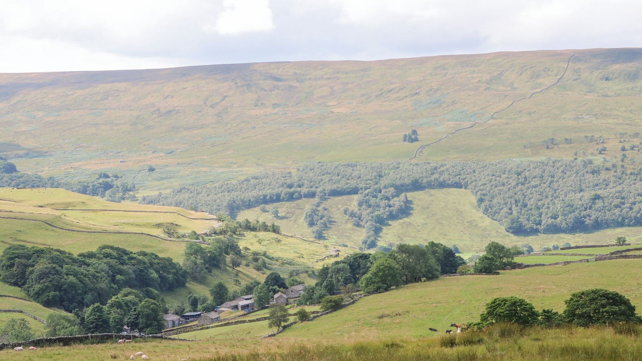 Photo of Outdoor in Starbotton