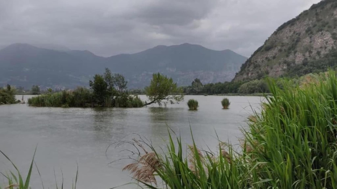 Photo of Others in Provaglio d'Iseo