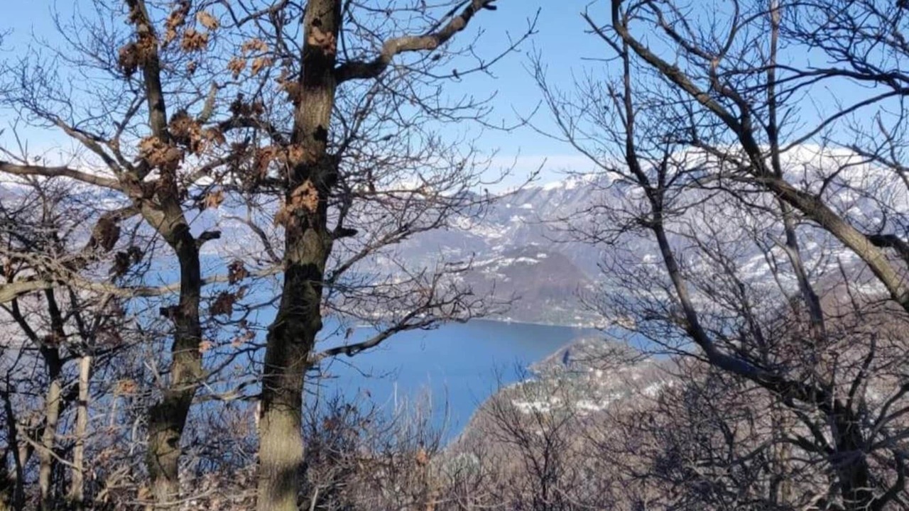 Photo of Others in Provaglio d'Iseo