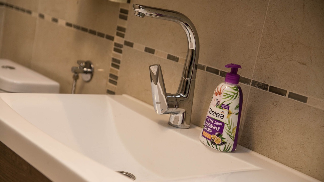 Photo of Bathroom in Zemun
