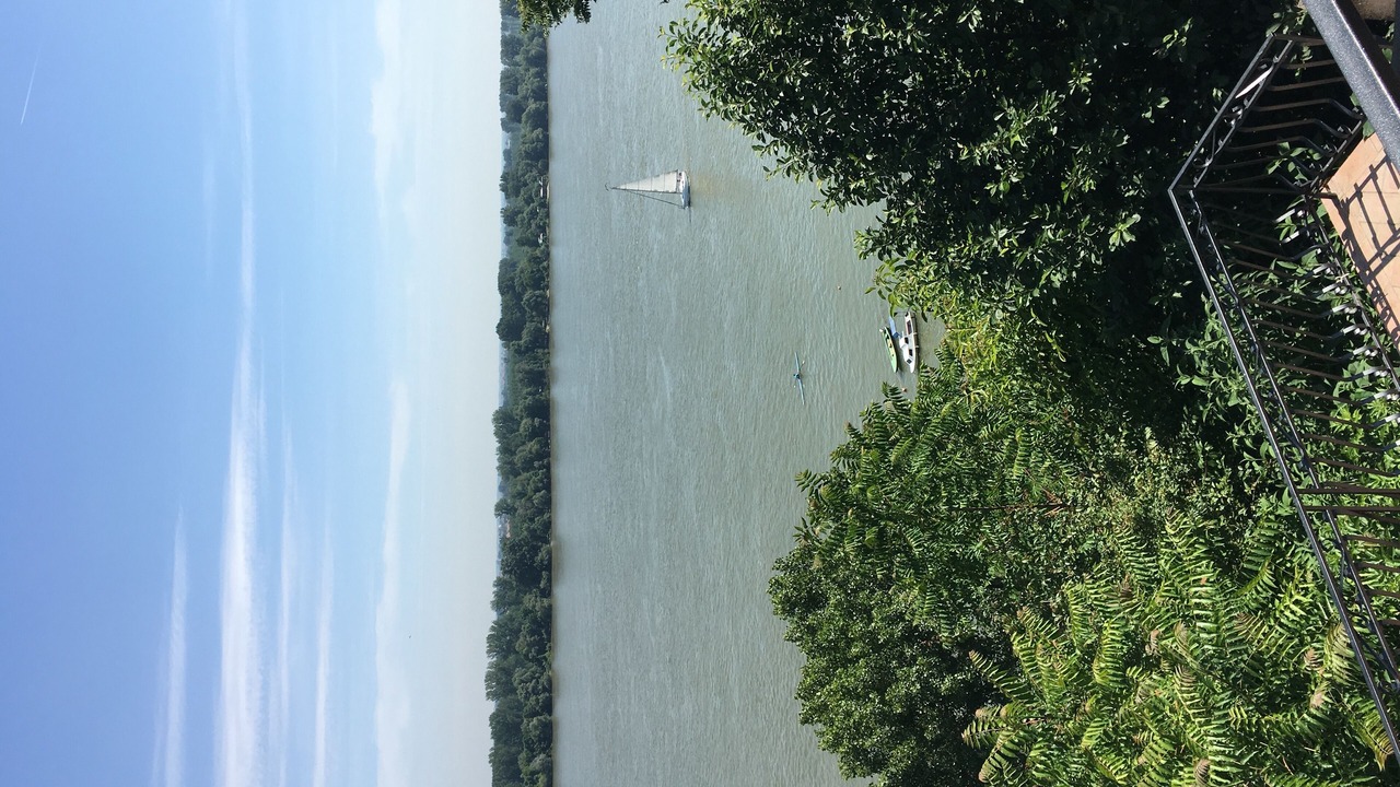 Photo of Others in Zemun