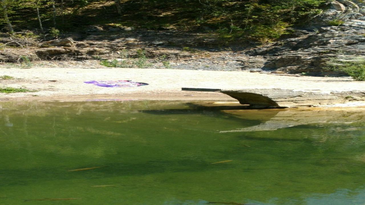Photo of Others in Monticiano
