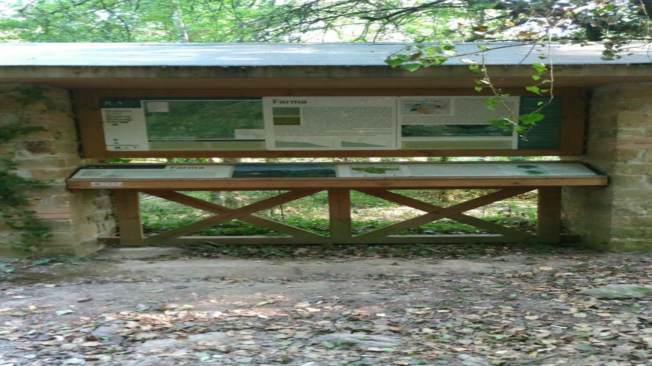 Photo of Outdoor in Monticiano