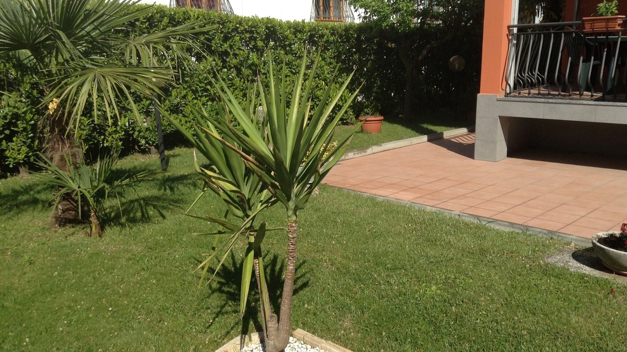 Photo of Outdoor in Collegno