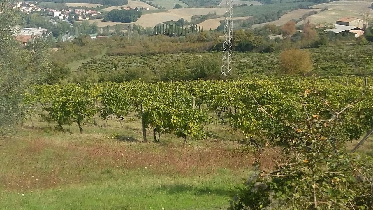 Photo of Others in Montespertoli