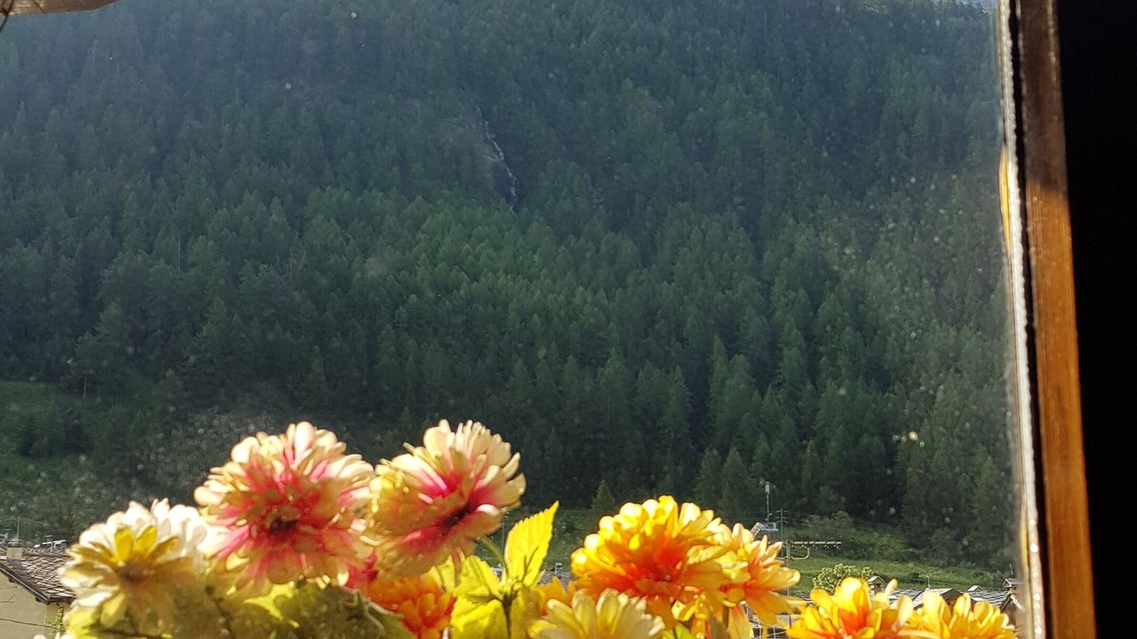 Photo of Others in La Thuile