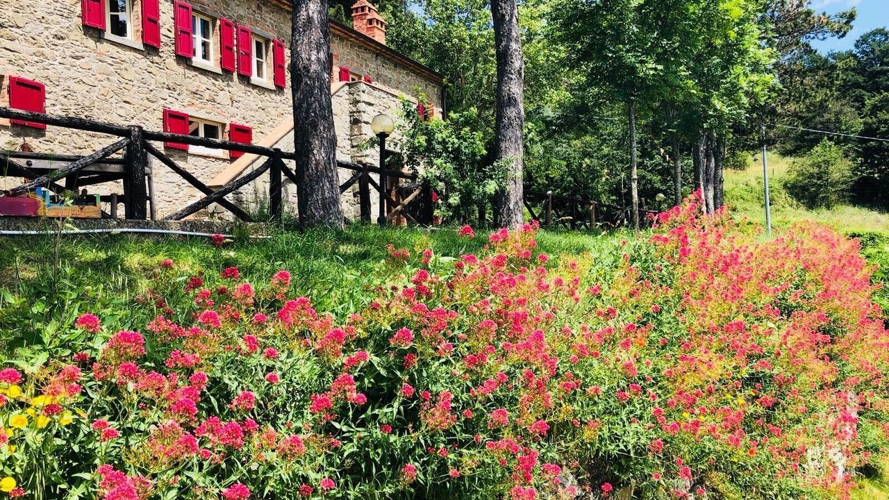 Photo of Outdoor in Cortona