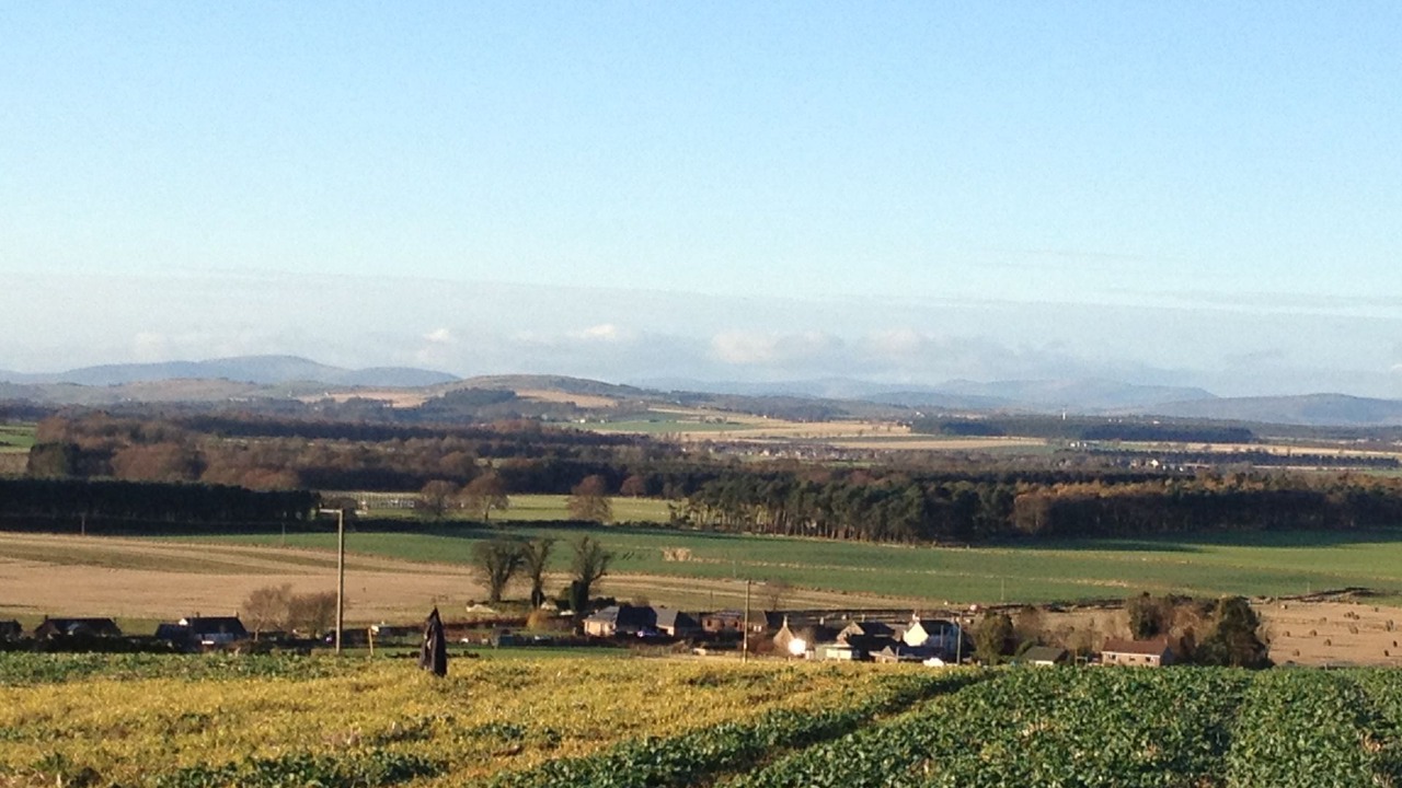 Photo of Others in Letham Grange