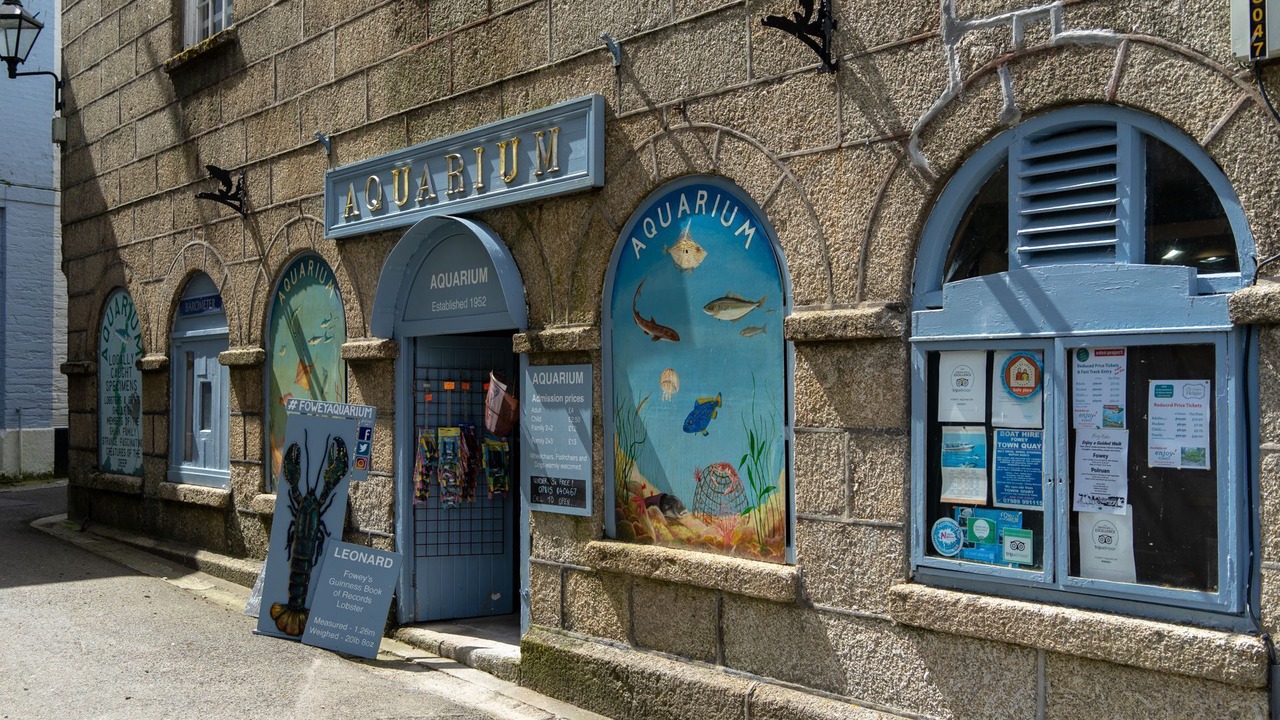 Photo of Outdoor in Fowey
