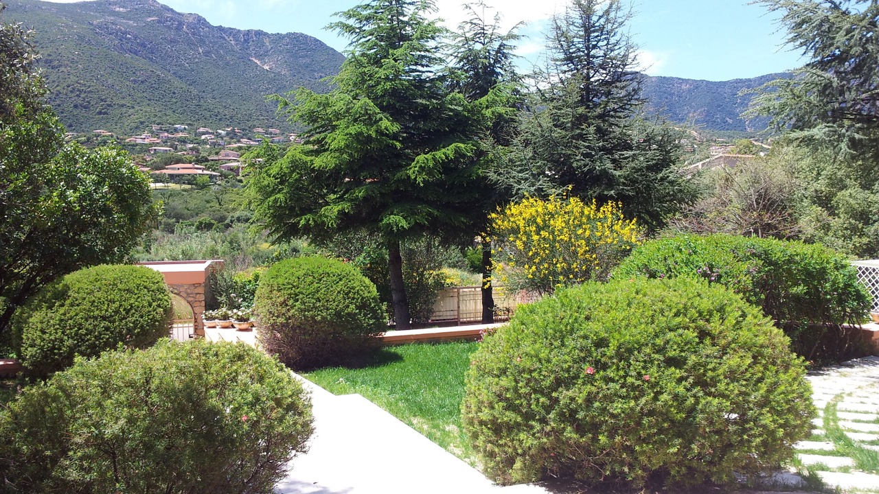Photo of Outdoor in Poggio dei Pini