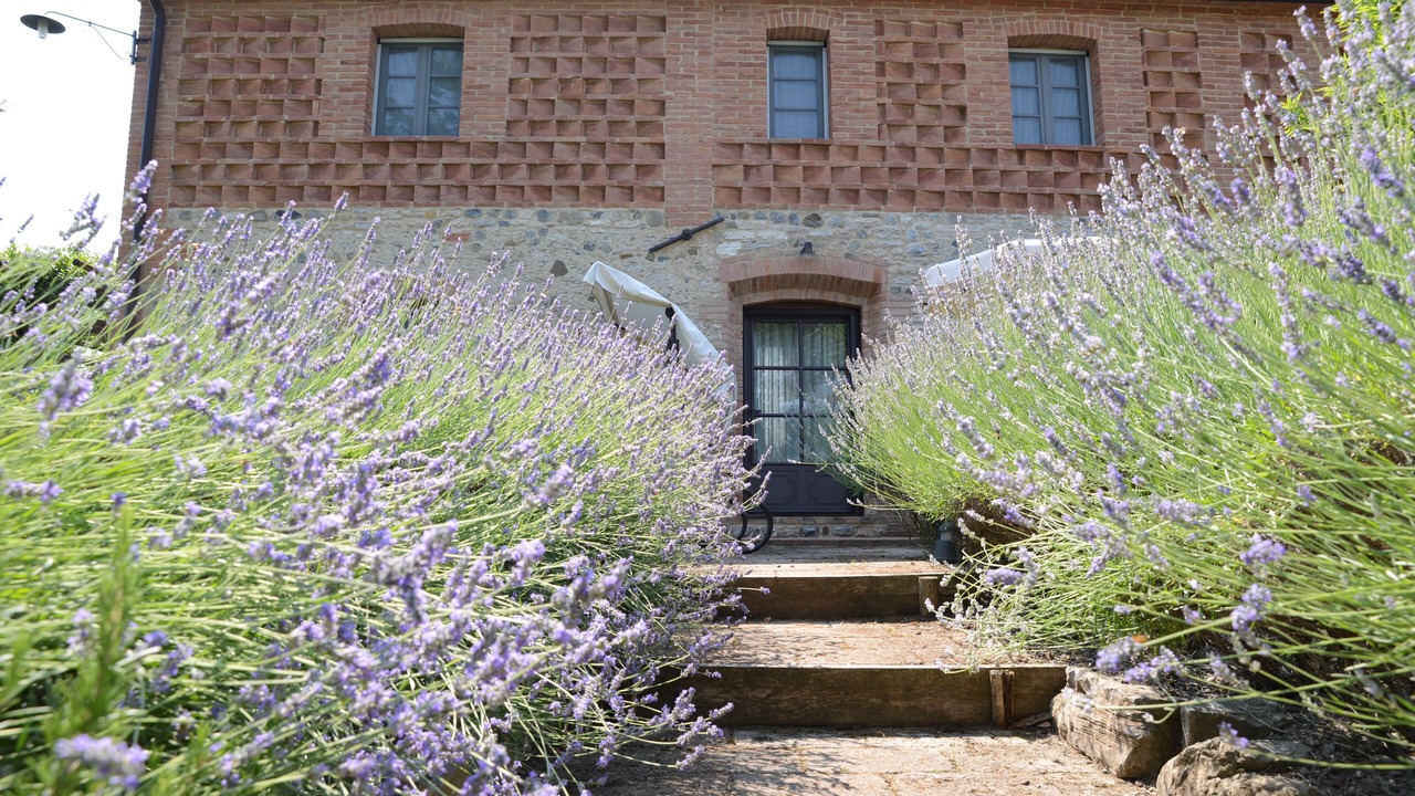 Photo of Outdoor in Torre A Castello