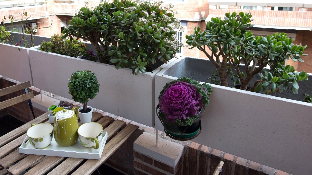 Photo of Outdoor in Quartiere XIII Aurelio