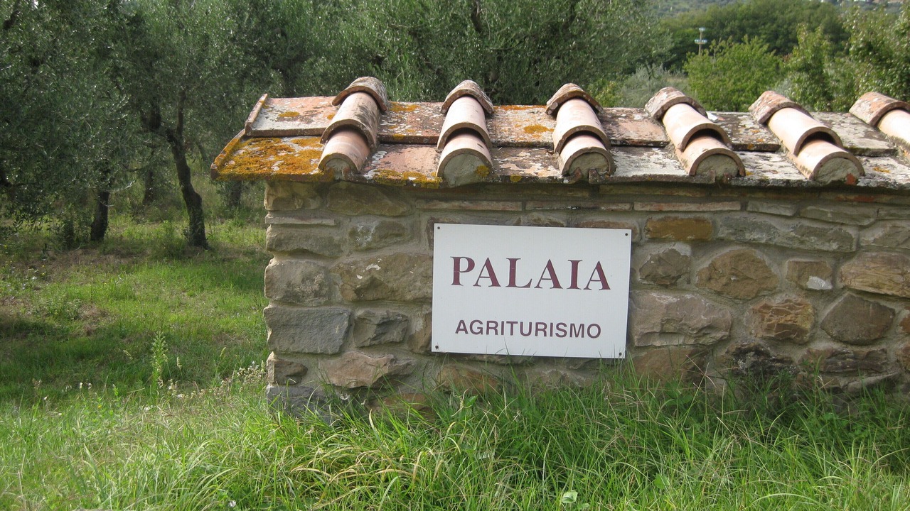 Photo of Outdoor in Pelago