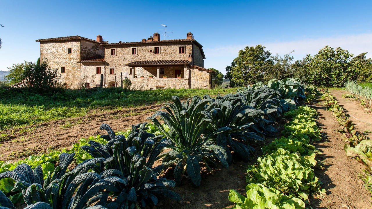 Photo of Outdoor in Pelago