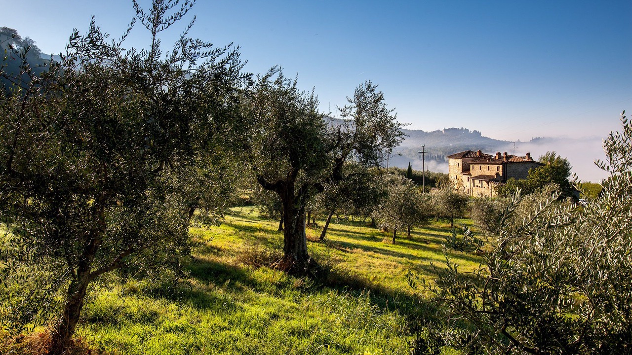 Photo of Outdoor in Pelago