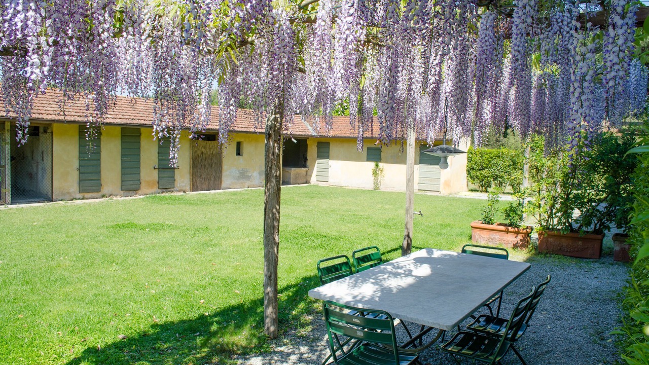 Photo of Outdoor in Vecchiano
