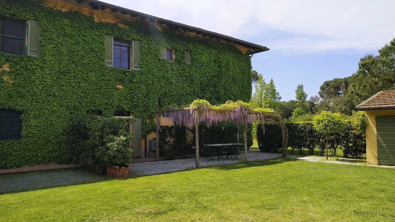 Photo of Outdoor in Vecchiano