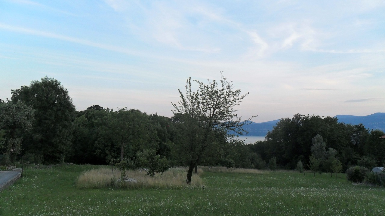 Photo of Others in Cargiago