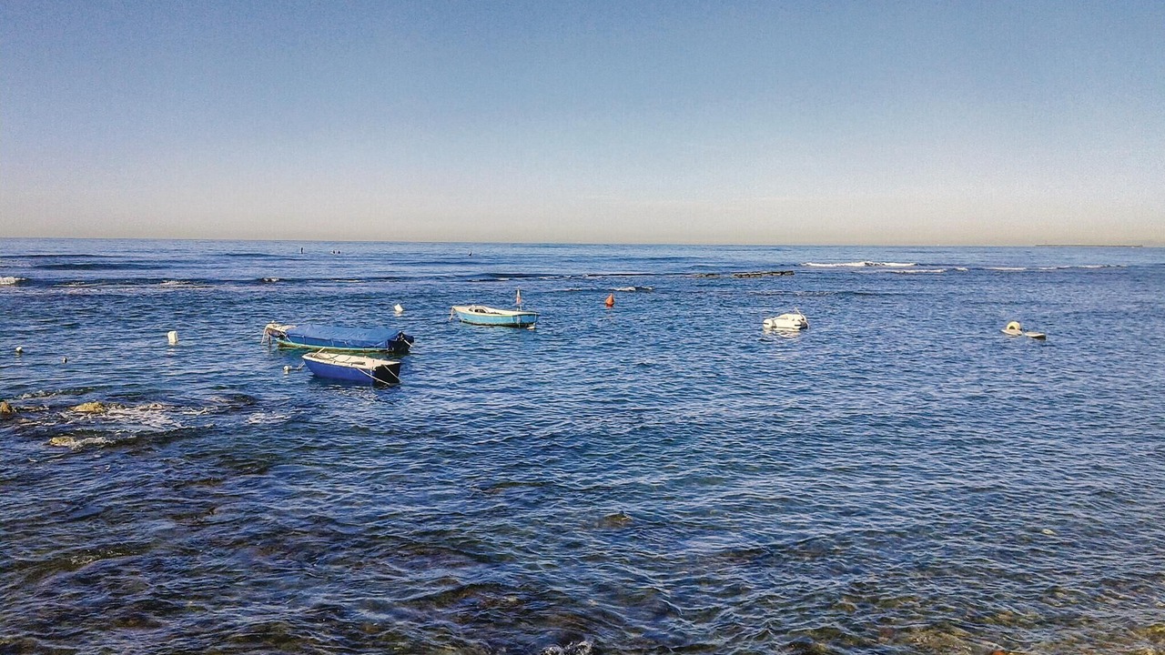 Photo of Others in Calci