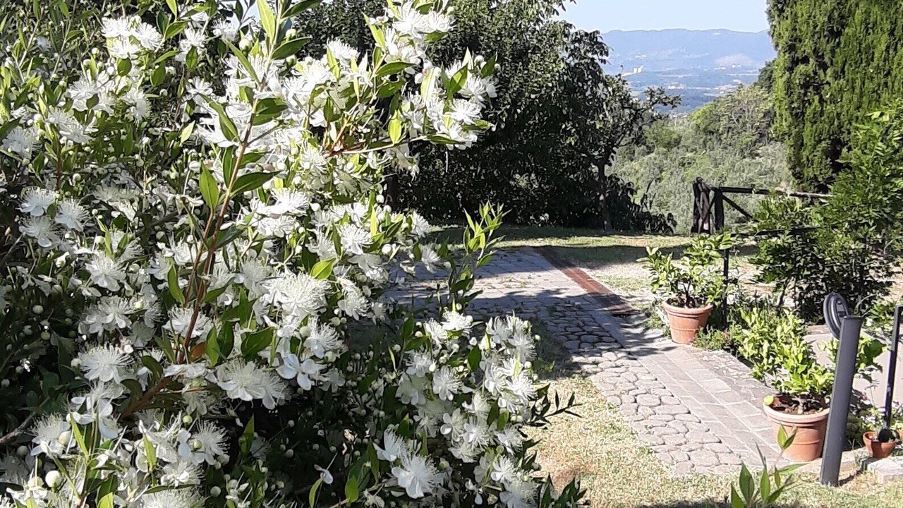 Photo of Outdoor in Castelfranco di Sopra