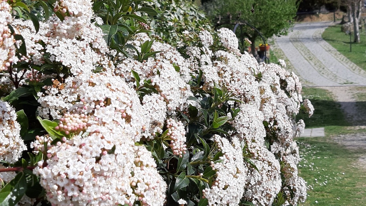 Photo of Outdoor in Castelfranco di Sopra
