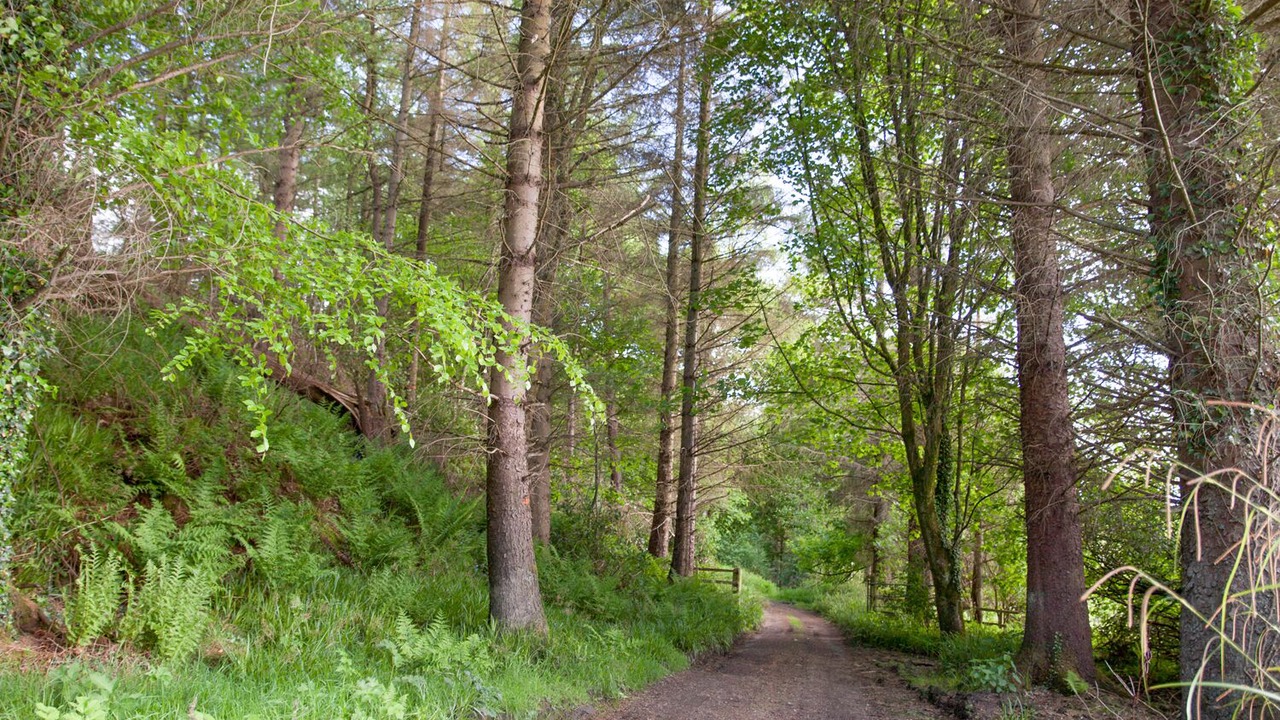 Photo of Outdoor in Gortin