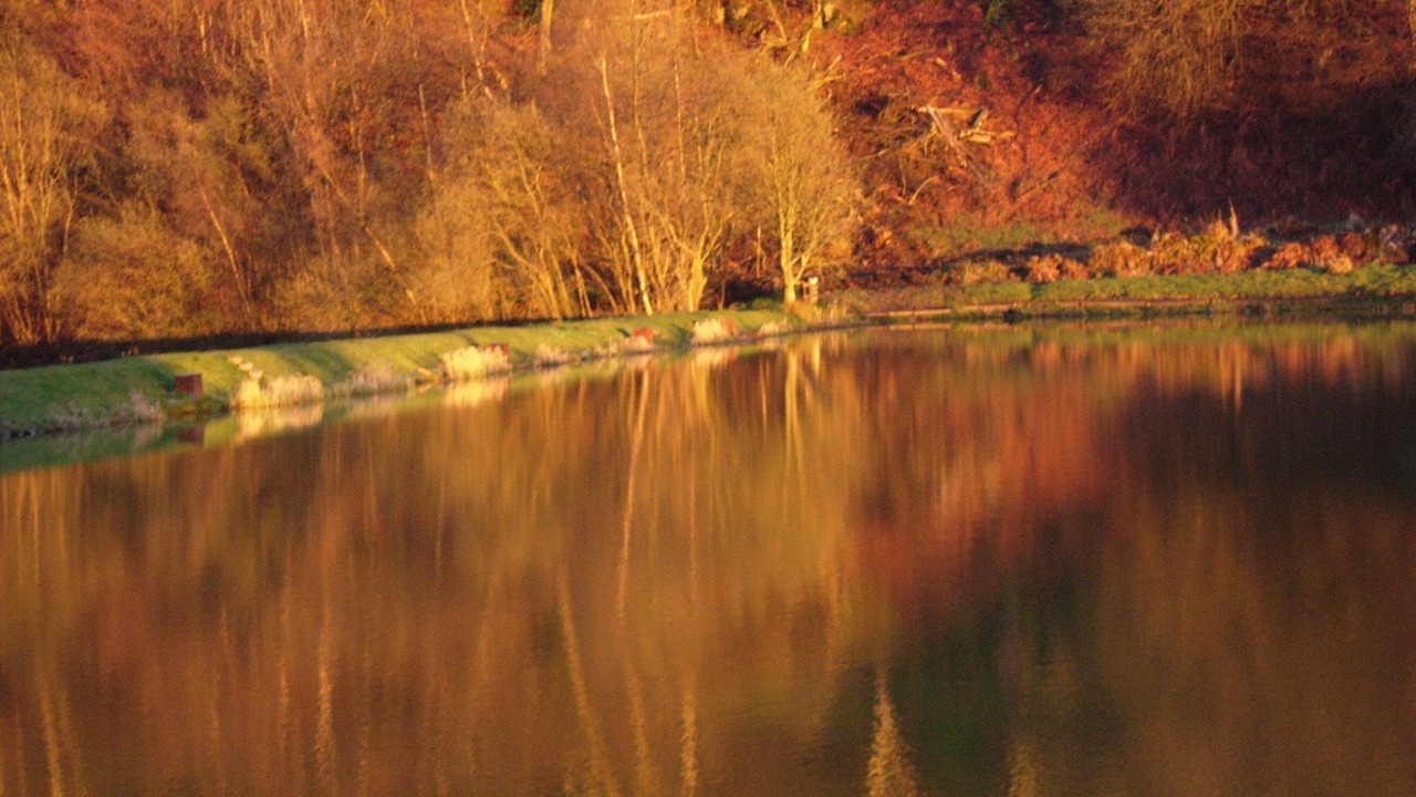 Photo of Outdoor in Linlithgow