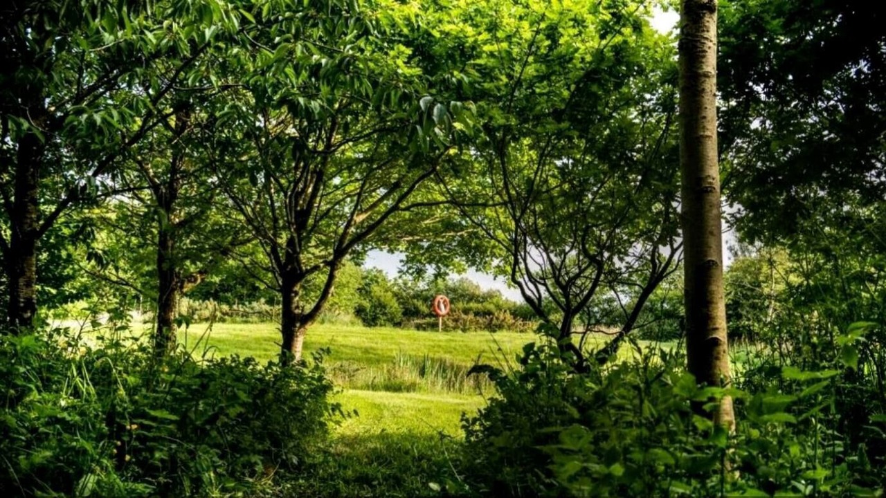 Photo of Outdoor in Bude