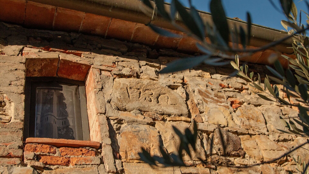 Photo of Others in Pergine Valdarno