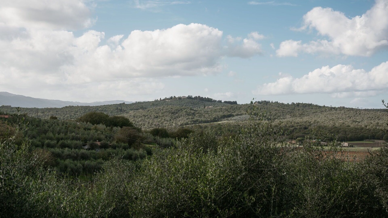Photo of Others in Pergine Valdarno