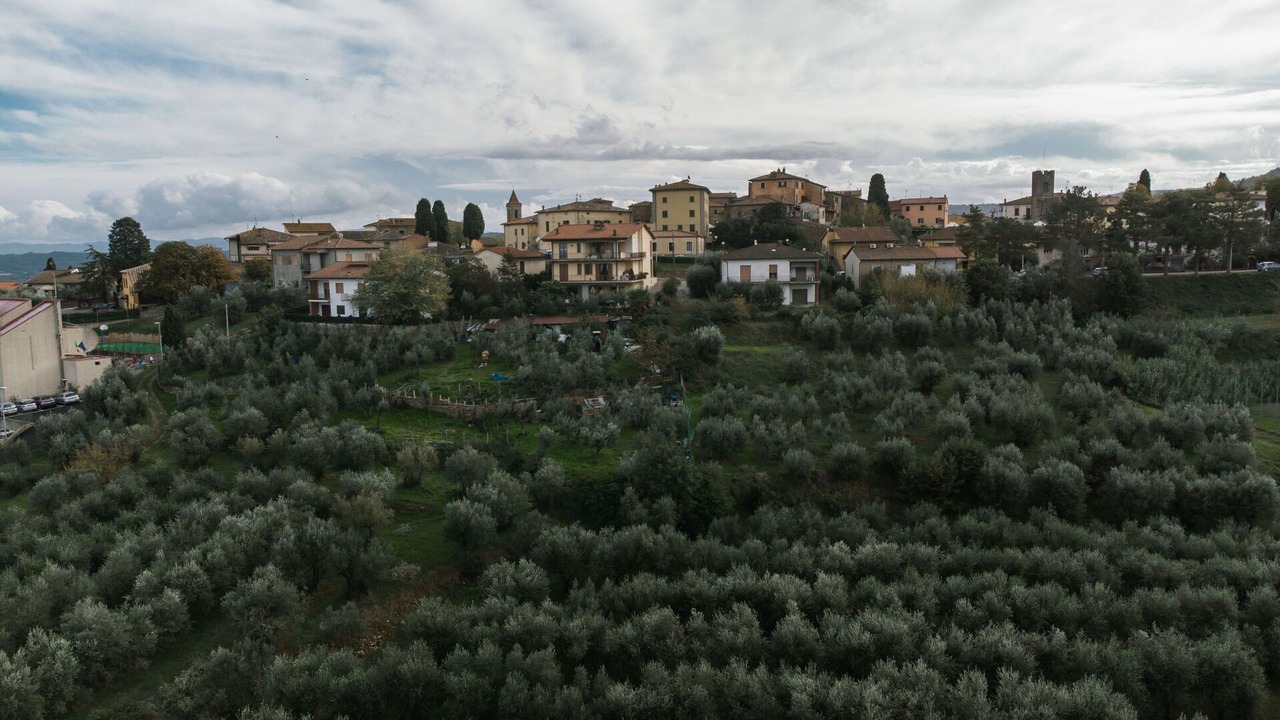 Photo of Others in Pergine Valdarno